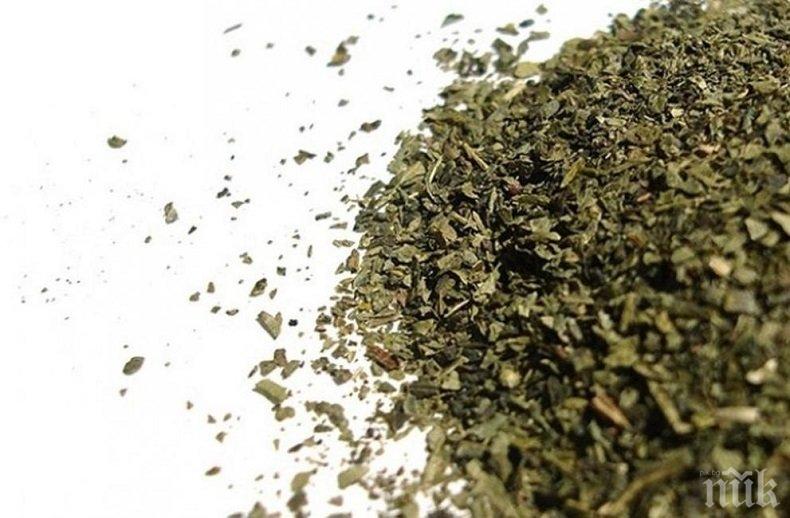 Продадоха рядък чай от Индия на рекордна цена