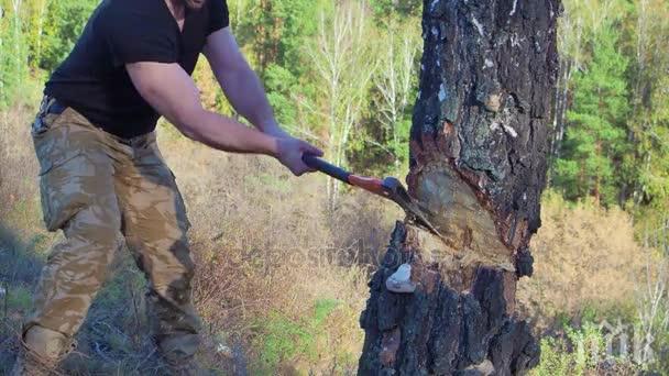 Отсечено дърво уби мъж край Гоце Делчев