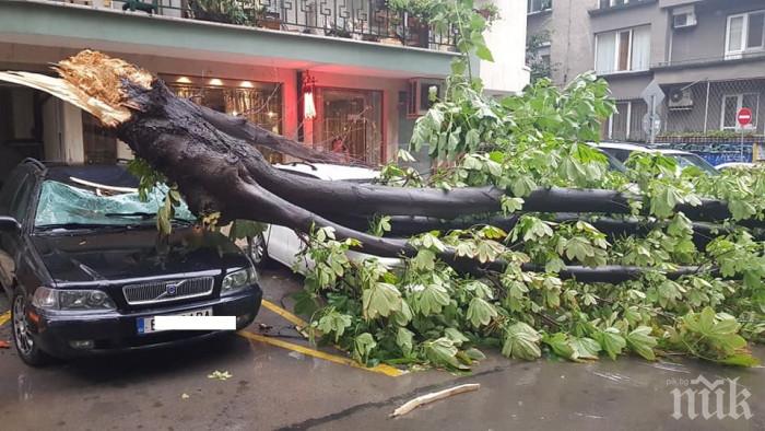 ДРАМА: Четирима пострадаха след бурята във Варна