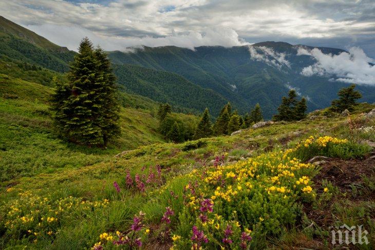 ПСС прекрати търсенето на изчезналия мъж край Лакатник, обявяват го за издирване