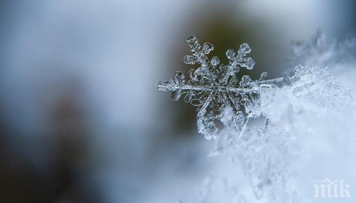 РЕКОРД ЗА АВГУСТ: Температурата в Подмосковието падна до -2 градуса