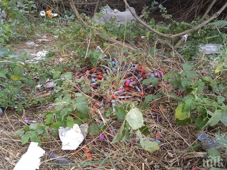 ЗАРАЗА: Неизвестен изхвърли епруветки с кръв в парк в Девня (СНИМКИ)