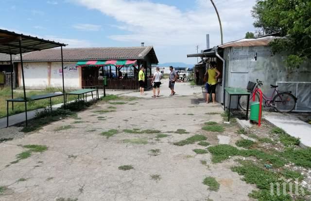 НА КОРЕМ: Тайна борса продава свинско до Пловдив (СНИМКИ)