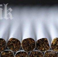 Иззеха 5540 къса нелегални цигари 