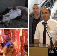 ПЪРВО В ПИК TV: Министерство на земеделието с последни данни за чумата по свинете: ЕК ни отпуска 13,9 милиона евро за превенция и обезщетяване на стопаните (ОБНОВЕНА)