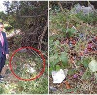 ГОЛЯМА ПАНИКА: Кой изхвърли опасните епруветки с кръв в Девня? Държавните органи мълчат, хората притеснени да не е свинска чума