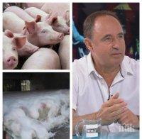 АМБИЦИЯ: Искаме от ЕС още пари за чумата по свинете