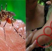 АПЕТИТ: Ето защо комарите избират точно нас