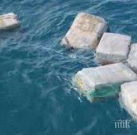 Буря изхвърли на брега кокаин за 2 млн. долара в Нова Зеландия