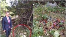 ГОЛЯМА ПАНИКА: Кой изхвърли опасните епруветки с кръв в Девня? Държавните органи мълчат, хората притеснени да не е свинска чума