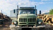 Спипаха горски в отпуск да бракониерства дърва