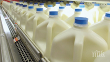 ЗАКАНА: Индонезия плаши да вдигне митата на млечните продукти от ЕС