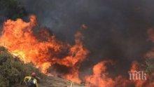 ОГНЕН АД В ГЪРЦИЯ: Пожарникари се борят с над 50 стихии