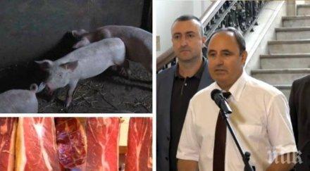 първо пик министерство земеделието последни данни чумата свинете отпуска 139 милиона евро превенция обезщетяване стопаните обновена