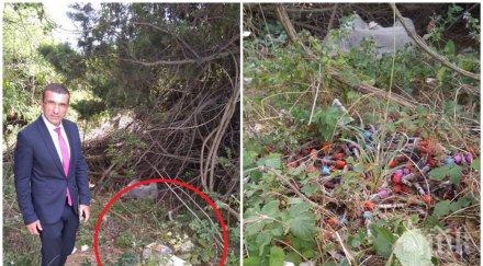 голяма паника изхвърли опасните епруветки кръв девня държавните органи мълчат хората притеснени свинска чума