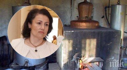 ракията тапия садим лозе разрешително