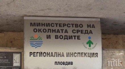 спряха цех опушил пловдив изрезки домакински гъби