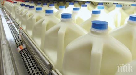 закана индонезия плаши вдигне митата млечните продукти