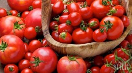 старозагорско село домакин празник домата