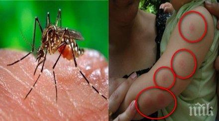 апетит комарите избират точно нас