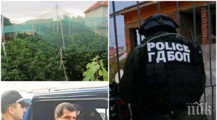 разкритие наркоакцията барбарона плешивия арестувани чували дрога къщата данчо топа