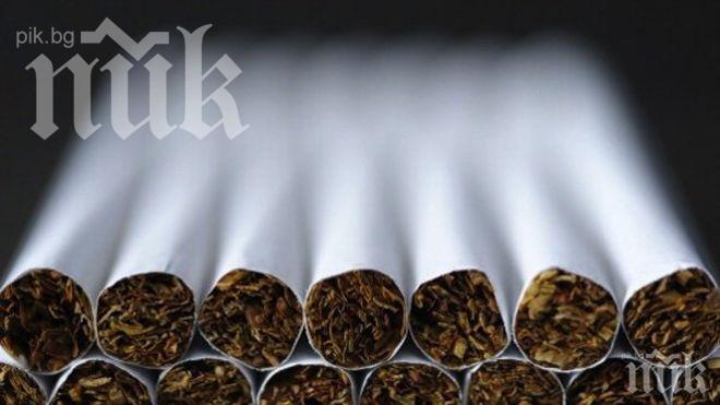 Иззеха 5540 къса нелегални цигари 