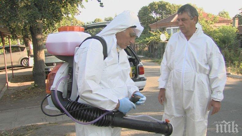 Текат проверки за укрити прасета в карнобатско село (СНИМКИ)