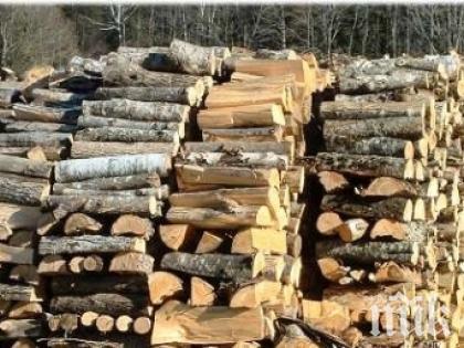 Откриха 20 кубика нелегални дърва в двора на фирма