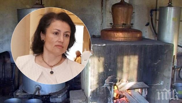 Ракията с тапия, садим лозе само с разрешително