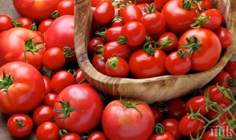 Старозагорско село е домакин на Празник на домата