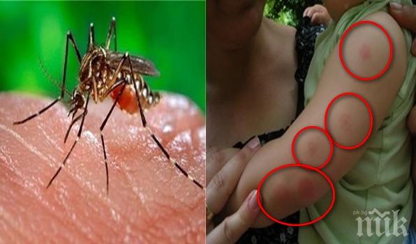 АПЕТИТ: Ето защо комарите избират точно нас