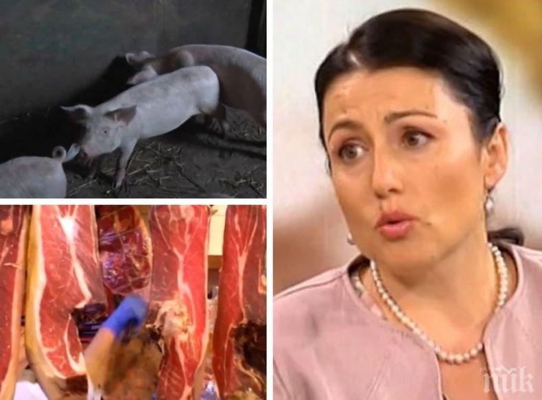 Десислава Танева обеща чистка заради чумата! 30 са огнищата тип домашна свиня в Северна България