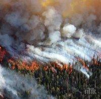 Сибир продължава да гори! 200 пожара се разпростират на площ по-голяма от Люксембург (ВИДЕО)