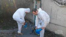 ГОРЕЩА ТЕМА: Започна доброволното умъртвяване на прасета в Пазарджишко (СНИМКА)