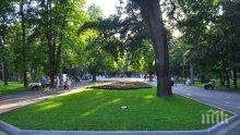 Започна разчистването на опасни дървета в Градския парк на Ямбол