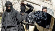ИЗВЪНРЕДНО ОТ СИРИЯ: Джихадисти свалиха правителствен самолет и взеха пилота в плен