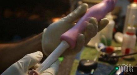 бизнес удар бразилски електротехник превърна хит ремонт