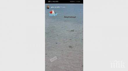 гала ужаси колегите нова телевизия снимка