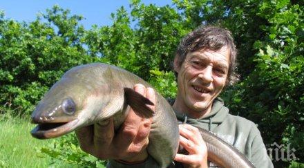 змиорки появиха балчик