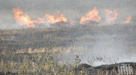 психично болен заподозрян пожара брягово