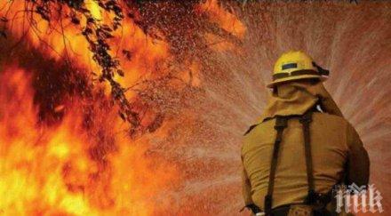 пет деца загинаха пожар забавачка пенсилвания