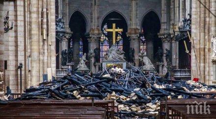 нов екшън нотр дам