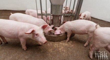 бабх призовава спазването всички определени закона мерки свързани загробване