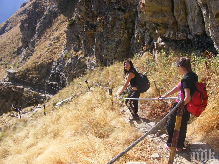 Няма опасност за нападнатия от дива свиня под връх Ботев