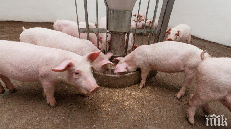 БАБХ призовава за спазването на всички определени от закона мерки, свързани със загробване