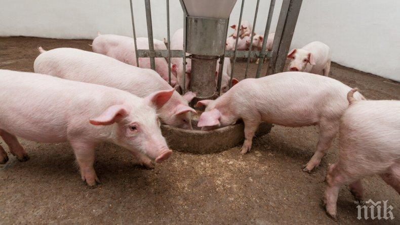 Проверяват задните дворове в Сливенско