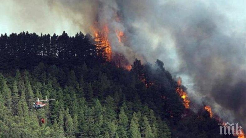 Огромен пожар на Канарските острови, евакуираха над 400 души