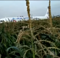 МАЙСТОРЛЪК: Пилотите, приземили самолет с 234 души на борда в царевична нива в Русия, се оказаха новаци в професията (ВИДЕО)