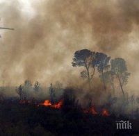 ОГНЕН АПОКАЛИПСИС: 25 000 декара гори са изгорели в пожара на остров Евбея