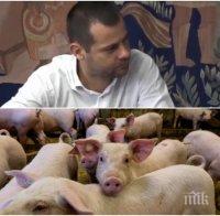 САМО В ПИК TV! Шефът на Съюза на ловците и риболовците с нови подробности за чумата по прасетата